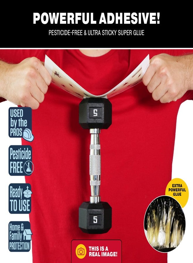 كاتشماستر ألواح لاصقة عملاقة لصيد الصراصير من كاتشماستر، عبوة من 6 قطع، مصائد لاصقة للحشرات والصراصير للاستخدام الداخلي، مصائد لاصقة لمنزلك، مبيد حشرات بالجملة، مصائد حشرات للمنزل والجراج، مكافحة الآفات المنزلية - Image 2